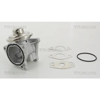Billede af TRISCAN 8813 29111 EGR Ventil pneumatisk med pakninger SKODA: Fabia 2, Octavia 2 Combi, Superb II Stationcar, VOLKSWAGEN: Passat B6 Variant