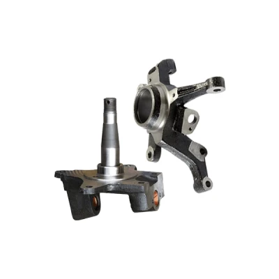 Billede af BUGIAD BSP25044PROKIT Hjulspindel venstre foraksel med hjulleje VOLKSWAGEN: Polo V Hatchback, IV SKODA: Fabia I Hatchback