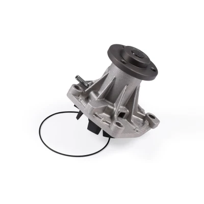 Billede af HEPU P1081 Vandpumpe med pakning mekanisk JEEP: Grand Cherokee 2, I, CHRYSLER: VOYAGER ROVER: 800 Coupe