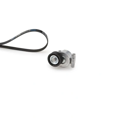 Billede af GATES K026PK1305 Kileribberem ThermalPro FORD: Focus 2 Kombi, C Max, VOLVO: S40 II, V50, C30
