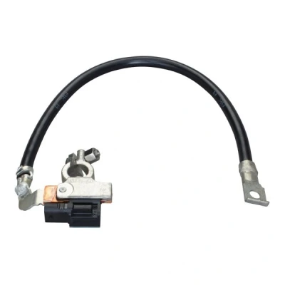 Billede af HELLA 6PK 010 562 931 Sensor, batterimanagement