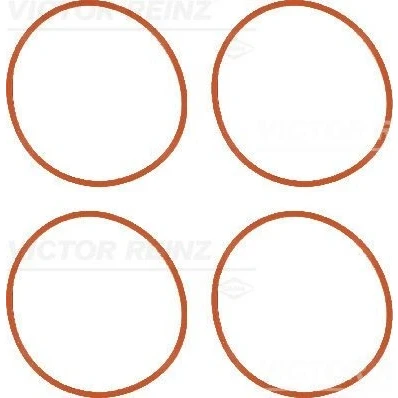 Billede af REINZ 11 36956 01 Pakningssæt, indsugningsmanifold PEUGEOT: 207 Hatchback, CITROËN: C4 I Hatchback