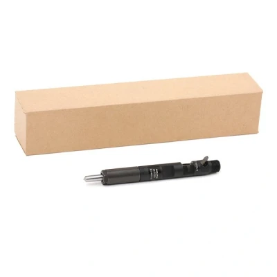 Billede af DELPHI 28232251 Dyseholder