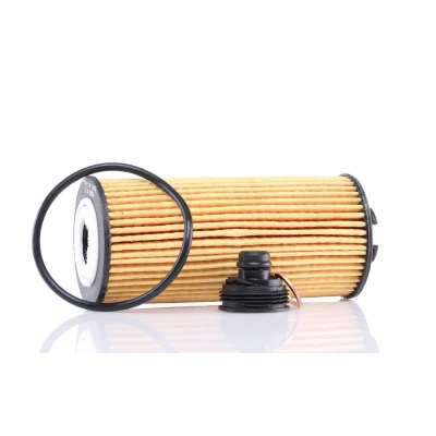 Billede af PURFLUX L1045 Oliefilter Filterindsats BMW: 2 Gran Tourer, X1, Active MINI: Hatchback, Clubman