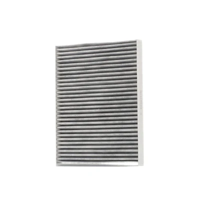 Billede af AUTOMEGA 180006010 Kabinefilter Aktivkulfilter 240 190 22 FORD: FIESTA 6, 7, 6 Van