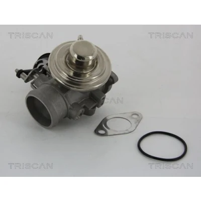 Billede af TRISCAN 8813 29001 EGR Ventil pneumatisk med pakninger VOLKSWAGEN: Polo IV Hatchback, Golf 4, III SKODA: Fabia 1 Combi
