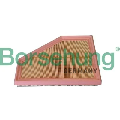 Billede af Luftfilter Borsehung B12291