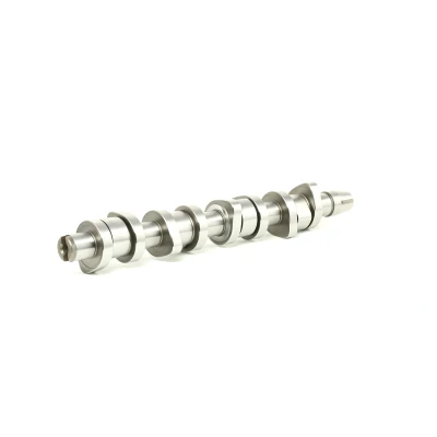 Billede af FEBI BILSTEIN 29852 Knastaksel VOLKSWAGEN: Passat B5 Sedan, B6 Variant, Golf 5, SKODA: Fabia 2