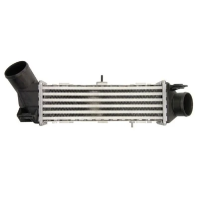 Billede af THERMOTEC DAT002TT Intercooler Aluminium, plastik 295 X 85 mm