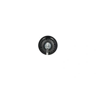 Billede af NRF 380187 Magnetkobling GENUINE ZEXEL DCS17, KC