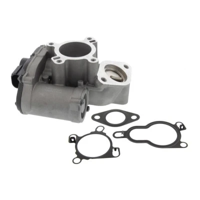 Billede af MAPCO 83106 EGR Ventil elektrisk med pakning RENAULT: MEGANE 2 Kombi