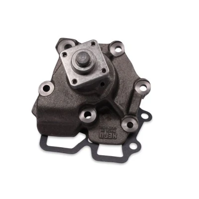 Billede af HEPU P202 Vandpumpe med pakning flange mekanisk FORD: Transit Mk2 Van, Mk4 Bus, Ladvogn/Chassis