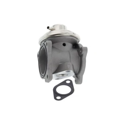 Billede af MAPCO 83824 EGR Ventil pneumatisk med pakning SKODA: Fabia 2, 1 Combi, I Hatchback, VOLKSWAGEN: Polo IV AUDI: A2