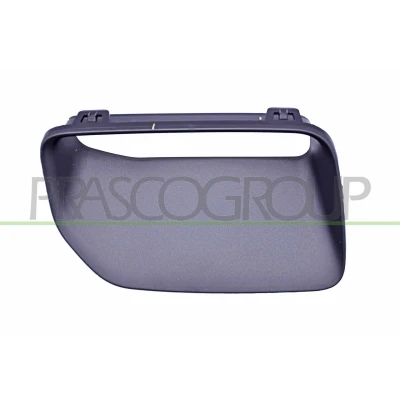 Billede af PRASCO MN7062124 Kofangergitter foran til venstre MINI: Countryman