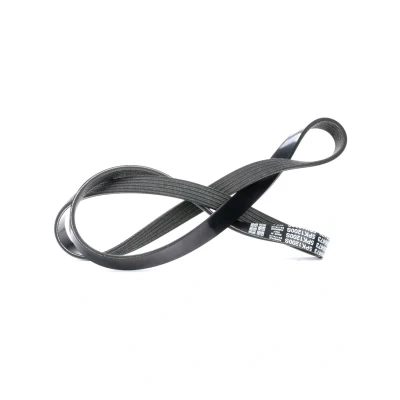 Billede af DAYCO 5PK1200 Kileribberem 1200,0 5 OPEL: Corsa D Hatchback, Insignia A Sports Tourer, Zafira C RENAULT: CLIO 3, 2