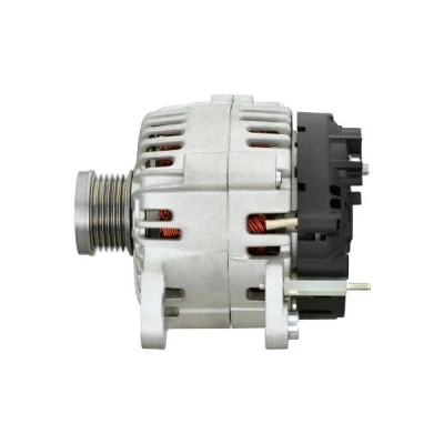 Billede af HELLA 8EL 015 630 501 Generator 14V 110A VOLKSWAGEN: Polo V Hatchback, Caddy 3, GOLF 6, SKODA: Fabia 2, Octavia II 2 Combi