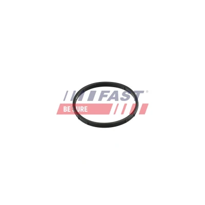 Billede af FAST FT50602 Pakninger