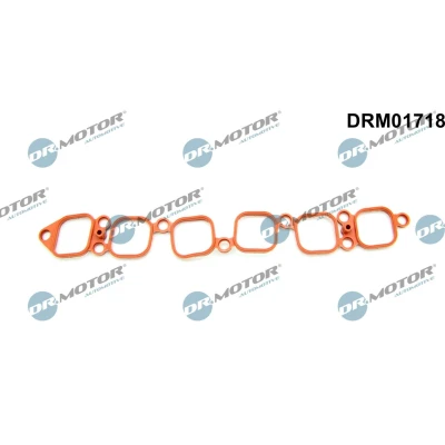 Billede af DR.MOTOR AUTOMOTIVE DRM01718 Indsugningspakning VOLKSWAGEN: Golf 4, 5, Touareg I, AUDI: A3 Sportback, TT Roadster
