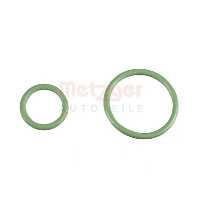 Billede af METZGER 0873069 Pakninger FORD: S Max Mk1