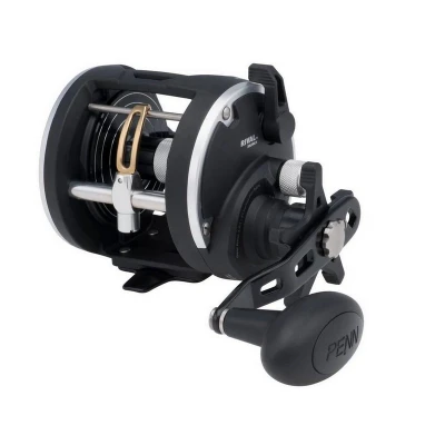 Billede af Penn Rival Level Wind 30LW LH