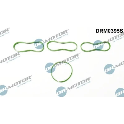 Billede af DR.MOTOR AUTOMOTIVE DRM0395S Pakningssæt, indsugningsmanifold FORD: FIESTA 6