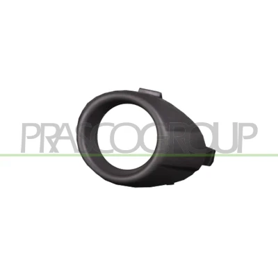 Billede af PRASCO FD3441248 Ramme, tågelygte FORD: FIESTA 6