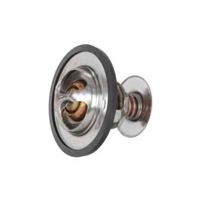 Billede af Continental 28.0200 4245.2 Termostat 88 54 med pakning