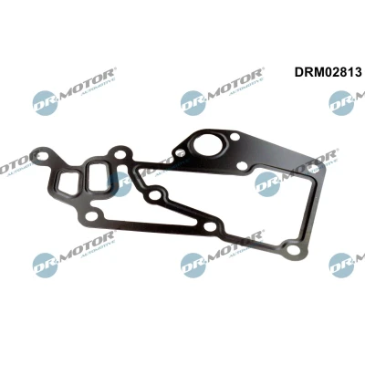 Billede af DR.MOTOR AUTOMOTIVE DRM02813 Pakninger PEUGEOT: 206 Hatchback