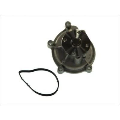 Billede af THERMOTEC D1M051TT Vandpumpe med pakning mekanisk MERCEDES BENZ: B klasse, MITSUBISHI: COLT 6