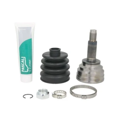 Billede af PASCAL G10343PC Knokkelled hjulsidet