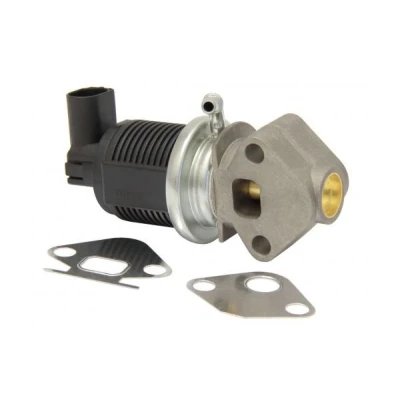 Billede af MAPCO 83802 EGR Ventil elektrisk Magnetventil med pakning VOLKSWAGEN: Polo IV Hatchback, Golf 5, 4, SKODA: Octavia 2 Combi, Fabia 1 Combi