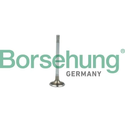 Billede af Borsehung B19021 Indsugningsventil VOLKSWAGEN: GOLF 6, Multivan 5 (7HM, Scirocco III, AUDI: A6 C6 Sedan, A4 B8 Avant, A3 SKODA: Octavia 2 Combi