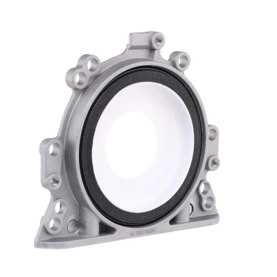 Billede af REINZ 81 90010 00 Krumtapaksel Pakdåse med bæreramme PTFE (Polytetrafluorethylen) VOLKSWAGEN: Golf 4 Variant, 4, 5, AUDI: A4 B7 Avant