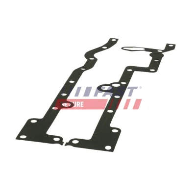 Billede af FAST FT48955 Pakning, oliepind