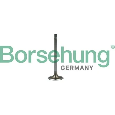 Billede af Borsehung B19022 Indsugningsventil VOLKSWAGEN: Polo V Hatchback, SEAT: Ibiza 4 ST, 4, AUDI: A3 Sedan