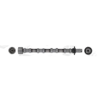 Billede af AE CAM1031 Knastaksel Udstødningsside FORD: Mondeo 5 Kombi, CITROËN: C4 Grand Picasso 2