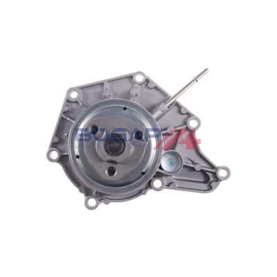Billede af BOGAP A4234121 Vandpumpe VOLKSWAGEN: Polo V Hatchback, Touran I, Golf Plus / Crossgolf, SEAT: Ibiza 4 Sportcoupe, SKODA: Fabia 2