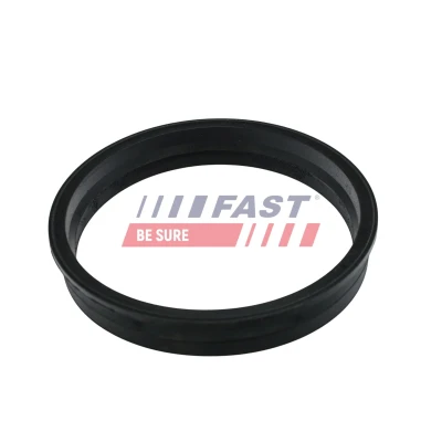Billede af FAST FT48505 Pakninger
