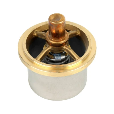 Billede af DT Spare Parts 6.30309 Termostat 69
