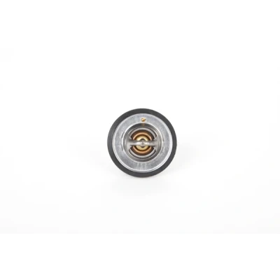 Billede af Continental 28.0200 4159.2 Termostat 91 54 med pakning VOLVO: V50, S40 II, V70 2