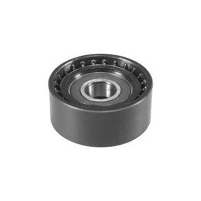 Billede af MAGNETI MARELLI 331316170014 Medløberhjul, kilerem
