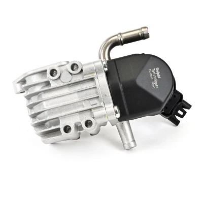 Billede af EGR ventil DELPHI EG10643 12B1
