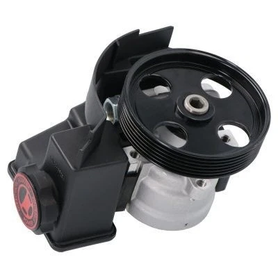 Billede af ENERGY PW680377 Hydraulikpumpe 115 med ekspansionsbeholder PEUGEOT: 206 Hatchback, Partner I Combispace, CITROËN: Berlingo / First