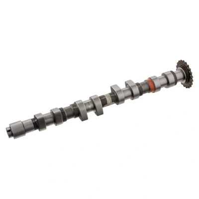 Billede af FEBI BILSTEIN 33013 Knastaksel Udstødningsside VOLKSWAGEN: Passat B5 Sedan, Golf 4, AUDI: A4 B7 Sedan