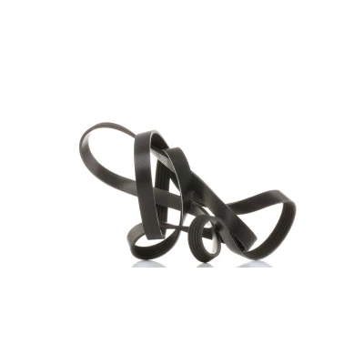 Billede af SKF VKMV 5PK1811 Kileribberem 1811 5 HYUNDAI: i30 II Stationcar, Getz, i20 I Hatchback, KIA: RIO 3, cee‘d Hatchback