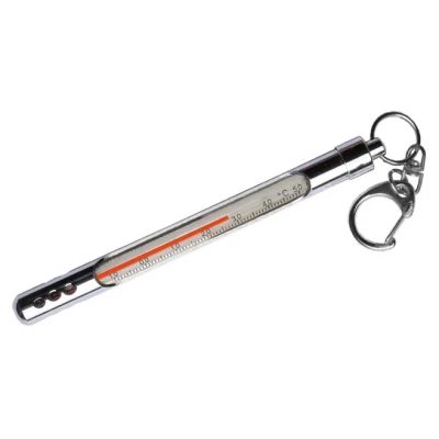 Billede af Vandtermometer, Silver