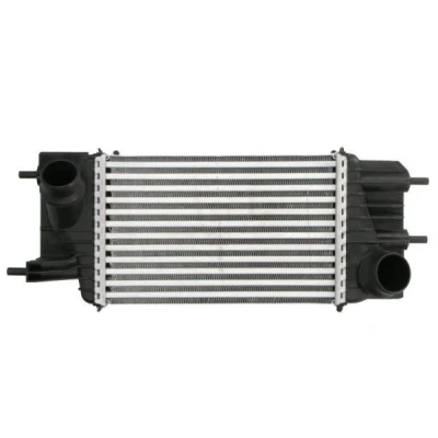 Billede af THERMOTEC DA1013TT Intercooler NISSAN: Juke