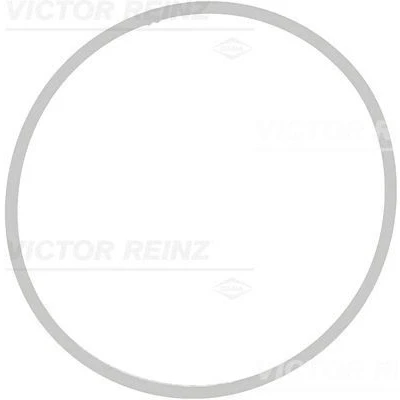 Billede af REINZ 71 39409 00 Indsugningspakning FPM (Flour gummi) BMW: 5 Touring