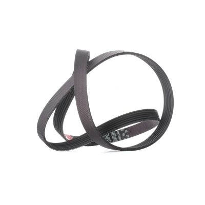 Billede af GATES 6PK1520 Kileribberem 1520 6 Polyester, EPDM (ethyl propylen dien gummi) FleetRunner Micro V FORD: Focus 2 Kombi, C Max,