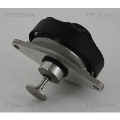 Billede af TRISCAN 8813 24202 EGR Ventil pneumatisk med pakninger
